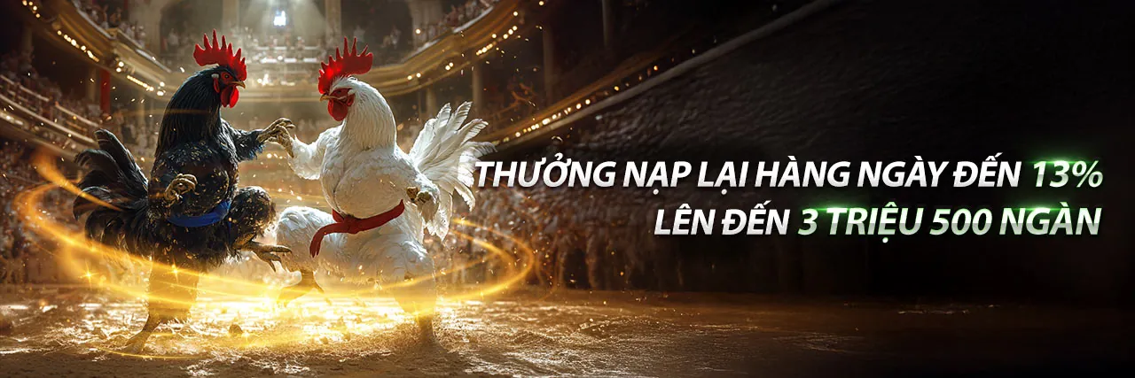 Người chia bài trực tiếp tại sòng bạc m88x nhà cái